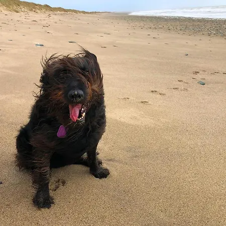 Casa vacanze Saltee View By Trident Homes